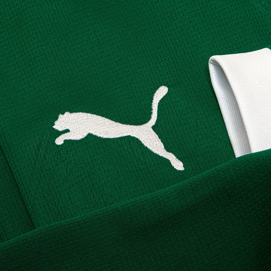 Camisa Palmeiras Manga Longa 25/26 Home