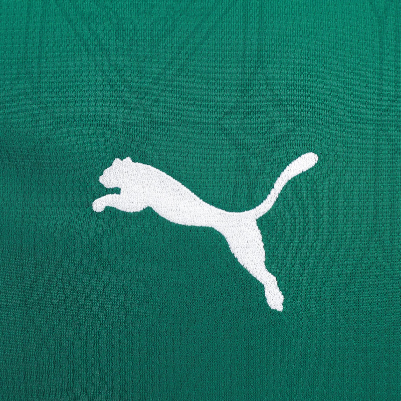 Camisa Palmeiras Manga Longa 25/26 Home